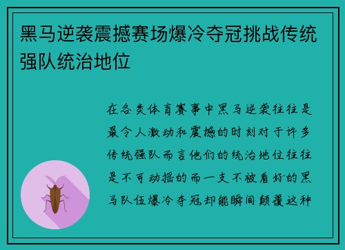 黑马逆袭震撼赛场爆冷夺冠挑战传统强队统治地位
